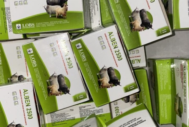 Kaolack / Douane : Saisie de faux médicaments et de chanvre indien d’une valeur de plus de 55 millions Fcfa. Kaolack / Douane : Saisie de faux médicaments et de chanvre indien d’une valeur de plus de 55 millions Fcfa.