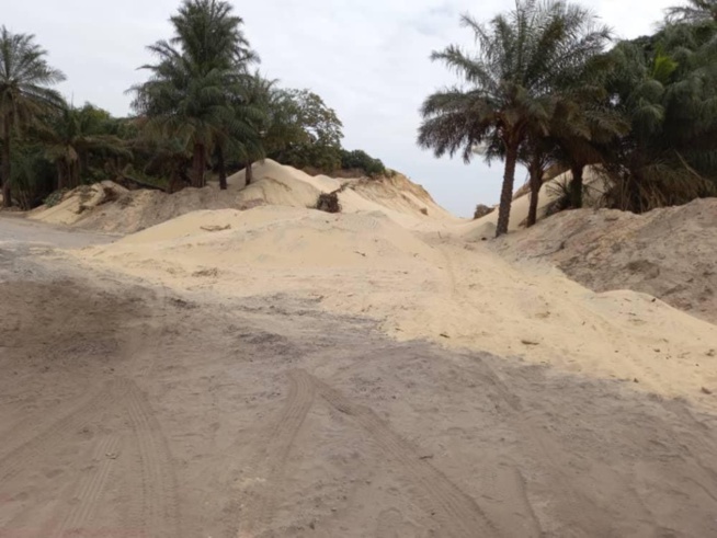 Drame écologique à Kayar: Des dunes de sable rasées (en cours) par des exploitants véreux