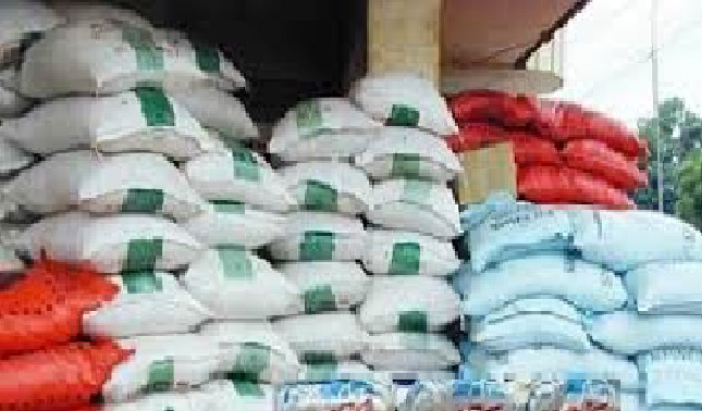 Initiative pour la réduction des importations de riz : Un projet agricole lancé à Fatick Initiative pour la réduction des importations de riz : Un projet agricole lancé à Fatick