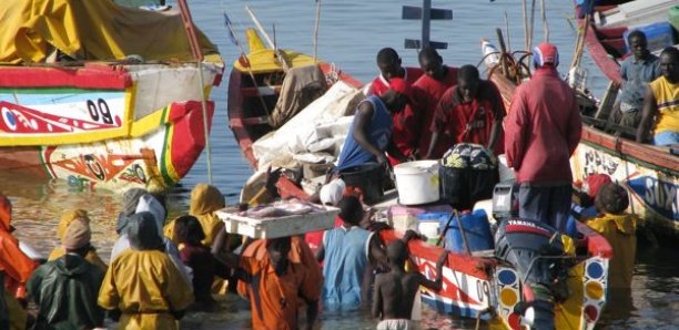 Exploitation gazière et pétrolière : Près de 600 mille acteurs de la pêche menacés