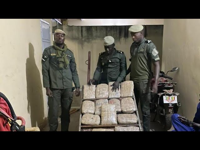 [Vidéo] Nioro : La douane saisit 21 kg de chanvre indien à keur Ayib