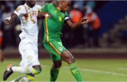 CAN 2021 : L’Afrique du Sud pourrait remplacer le Zimbabwe, adversaire des Lions