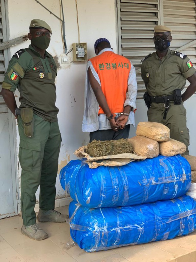 Trafic international de drogue : Saër Diop avait dissimulé la drogue dans des sacs de charbon pour le rallye Dakar-Bamako. Trafic international de drogue : Saër Diop avait dissimulé la drogue dans des sacs de charbon pour le rallye Dakar-Bamako.