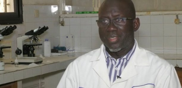 Immunité collective, Vaccination des enfants, Troisième dose : Les précisions du Pr Tandakha Ndiaye Dièye Immunité collective, Vaccination des enfants, Troisième dose : Les précisions du Pr Tandakha Ndiaye Dièye