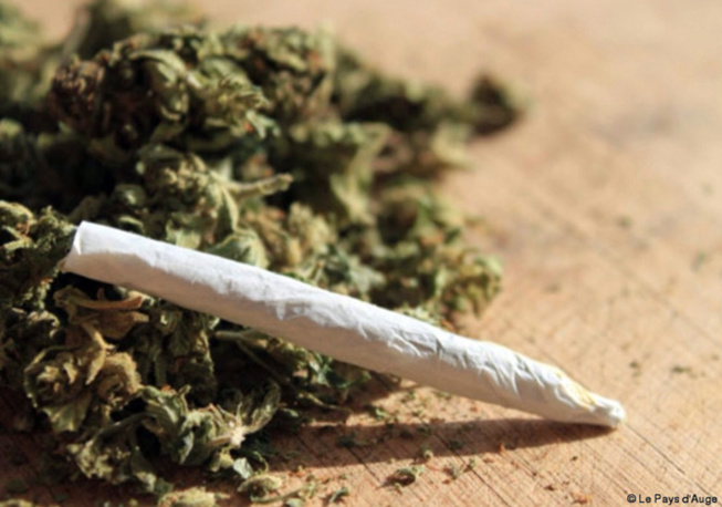 Trafic de drogue: un pompier arrêté par Les gendarmes Trafic de drogue: un pompier arrêté par Les gendarmes