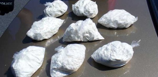 Trois tonnes de cocaïne pure d'une valeur d'un milliard d'euros découvertes dans une cargaison de bananes en Italie Trois tonnes de cocaïne pure d'une valeur d'un milliard d'euros découvertes dans une cargaison de bananes en Italie
