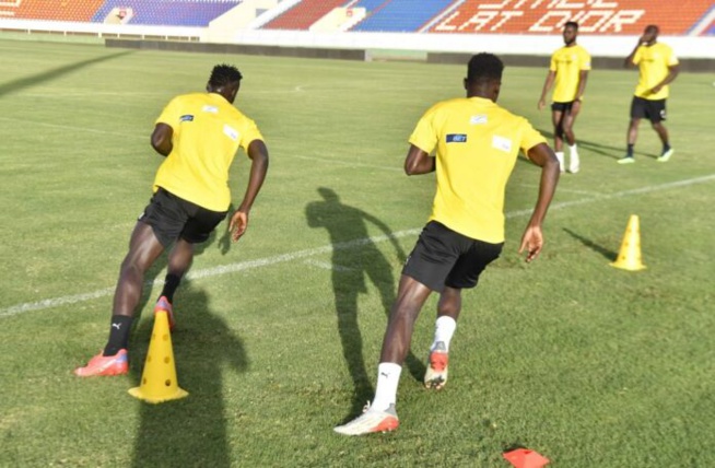 CAN 2021 : Deux nouvelles arrivées dans la Tanière des « Lions » du Sénégal CAN 2021 : Deux nouvelles arrivées dans la Tanière des « Lions » du Sénégal