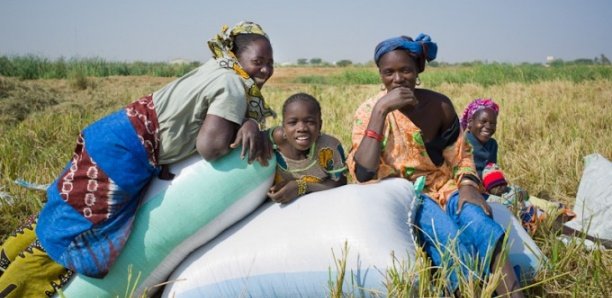 Concours national : Des «idées novatrices» pour l’amélioration des droits des femmes et des filles au Sénégal Concours national : Des «idées novatrices» pour l’amélioration des droits des femmes et des filles au Sénégal