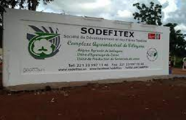 Bonne nouvelle pour les travailleurs de la Sodefitex: La Direction générale renonce à la fermeture de l’usine de Kolda Bonne nouvelle pour les travailleurs de la Sodefitex: La Direction générale renonce à la fermeture de l’usine de Kolda
