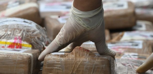 Drogue : Un dealer tombe dans les filets de la police à Touba Drogue : Un dealer tombe dans les filets de la police à Touba