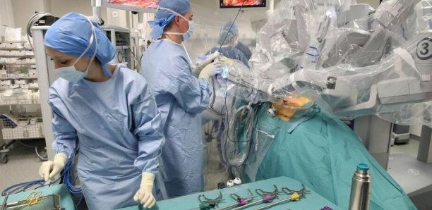 États-Unis : Un cœur de porc greffé avec succès pour la première fois sur un humain États-Unis : Un cœur de porc greffé avec succès pour la première fois sur un humain