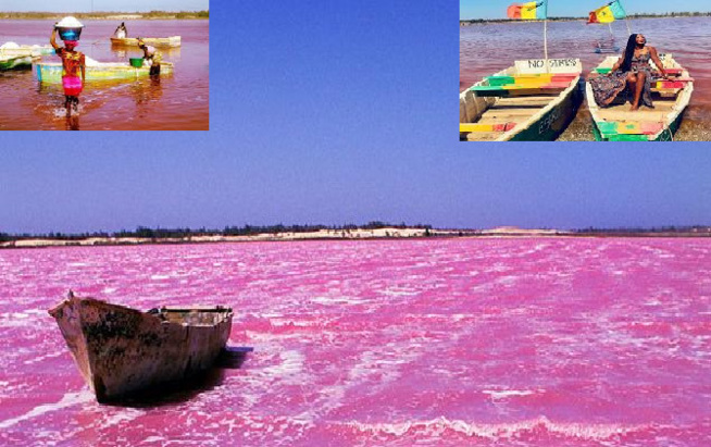 Impacts De Covid-19 et fraicheur au Lac Rose : Déclin des activités et petits business autour du tourisme