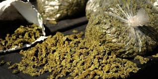 Mbour-Saly : La BR fait tomber 2 dealers avec 10 kg de drogue Mbour-Saly : La BR fait tomber 2 dealers avec 10 kg de drogue