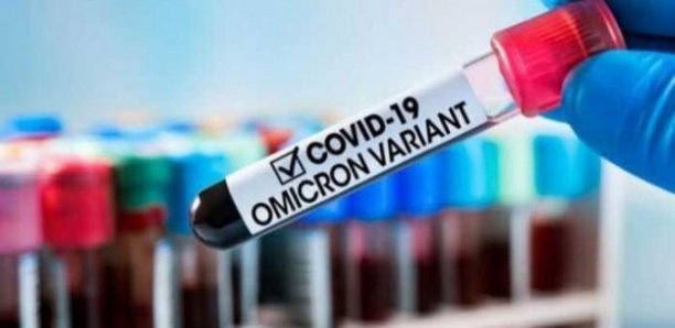 4ème Vague de Covid-19 en Afrique : L’OMS fait le point sur le nouveau variant Omicron 4ème Vague de Covid-19 en Afrique : L’OMS fait le point sur le nouveau variant Omicron