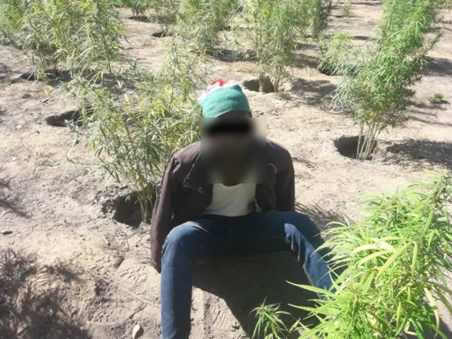 Casamance : L’armée sénégalaise fait une incroyable découverte (Photos) Casamance : L’armée sénégalaise fait une incroyable découverte (Photos)