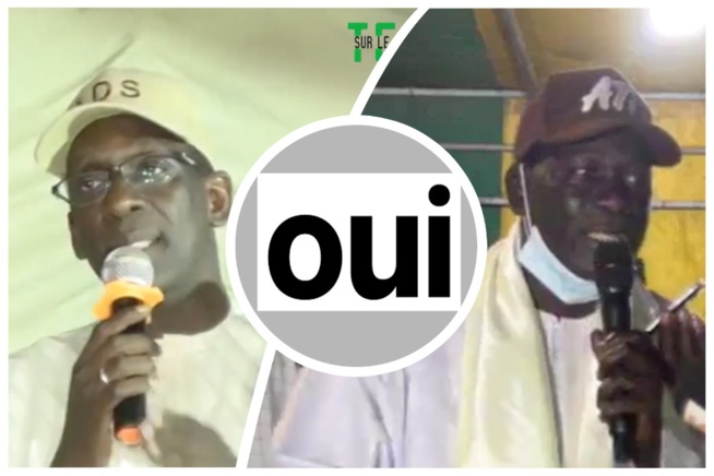 Amadou Guèye À Diouf Sarr : « Au Soir Du 23, Ngor Vous Dira OUI » (VIDEO) Amadou Guèye À Diouf Sarr : « Au Soir Du 23, Ngor Vous Dira OUI » (VIDEO)
