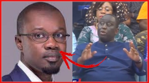 CARTE ELECTORALE : URGENT: "OUSMANE SONKO C'EST UN DANGER PUBLIC" : LES MOTS DE ALIOU SALL SUR LE V!§0L£UR DE ADJI SARR CARTE ELECTORALE : URGENT: "OUSMANE SONKO C'EST UN DANGER PUBLIC" : LES MOTS DE ALIOU SALL SUR LE V!§0L£UR DE ADJI SARR