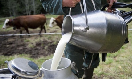 Production du lait: Seuls 2 à 3 % du lait sont collectés dans l’espace Cedeao Production du lait: Seuls 2 à 3 % du lait sont collectés dans l’espace Cedeao
