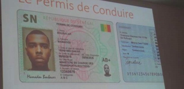 Saint-Louis : Un responsable de Benno détourne des permis de conduire Saint-Louis : Un responsable de Benno détourne des permis de conduire