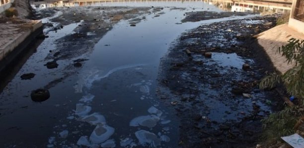 Cadre de vie : Le bassin de Dalifort, un nouveau danger pour des riverains Cadre de vie : Le bassin de Dalifort, un nouveau danger pour des riverains