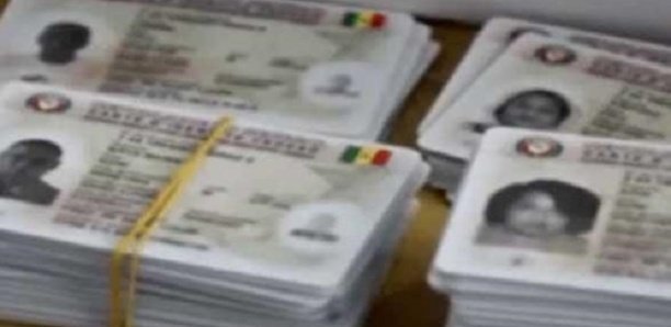 Élections Locales : Près de 700 cartes d’électeurs "volées" dans le département de Tivaouane