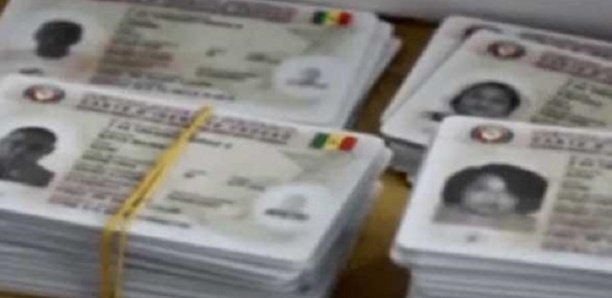 Élections Locales : Près de 700 cartes d’électeurs "volées" dans le département de Tivaouane Élections Locales : Près de 700 cartes d’électeurs "volées" dans le département de Tivaouane