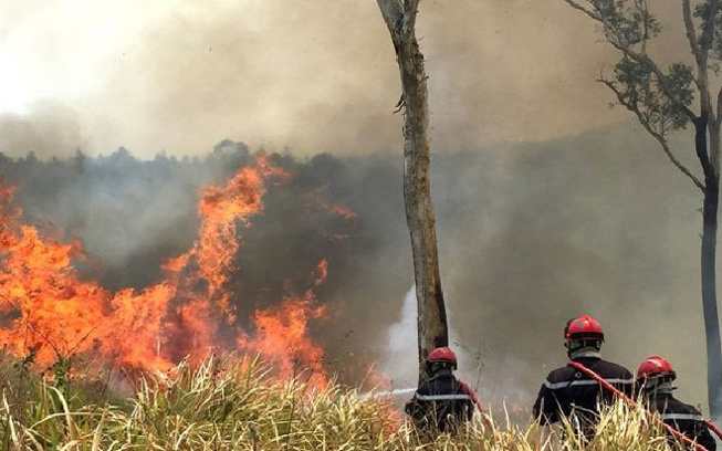 Matam / Dans la zone sylvo-pastorale, un feu de brousse avait vidé les bureaux de vote Matam / Dans la zone sylvo-pastorale, un feu de brousse avait vidé les bureaux de vote