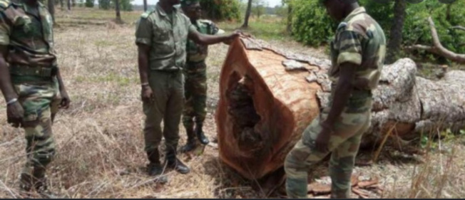 Accrochage en Gambie/ 9 militaires sénégalais portés disparus: L’armée suspecte le MFDC