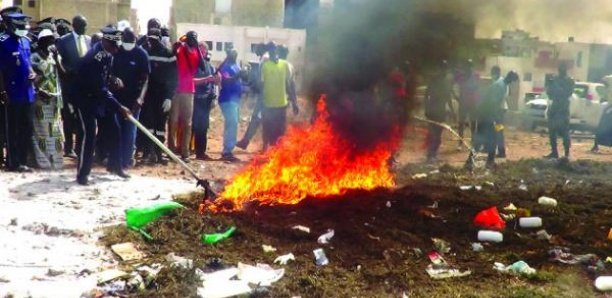 Journée Internationale de la Douane : 5 tonnes de drogues réduites en cendre Journée Internationale de la Douane : 5 tonnes de drogues réduites en cendre