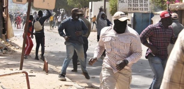 Élections Locales : 12 lutteurs nervis, recrutés à Dakar pour 10 000 à 15 000 FCFA par jour, arrêtés à Louga Élections Locales : 12 lutteurs nervis, recrutés à Dakar pour 10 000 à 15 000 FCFA par jour, arrêtés à Louga