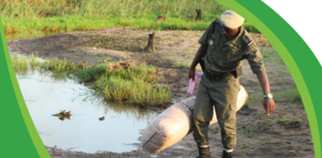 Résultats 2021 des douanes en Casamance : près de 2,5 milliards versés au trésor et 1,3 tonne de chanvre indien saisie Résultats 2021 des douanes en Casamance : près de 2,5 milliards versés au trésor et 1,3 tonne de chanvre indien saisie