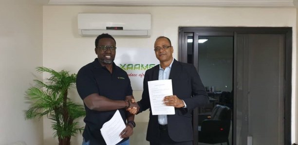 Litige sur le combat Modou Lo vs Ama Baldé : « Les agissements de Luc sont assimilables à du faux …(Pape Thiam, homme d'affaires)
