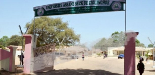 UASZ - Libération de l'enseignante stagiaire Céline Labrune Badiane: Passe d'armes entre le Rectorat et le Collectif des Chercheurs