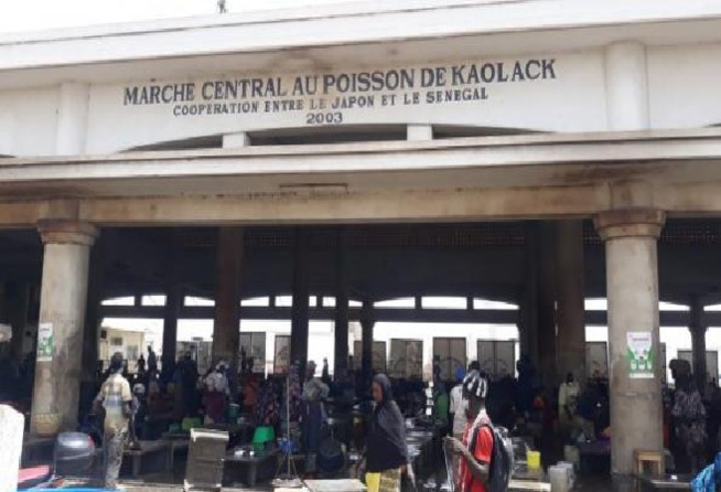 Marché au poisson de Kaolack : Les travailleurs refusent de payer les taxes municipales et réclament sa gestion Marché au poisson de Kaolack : Les travailleurs refusent de payer les taxes municipales et réclament sa gestion