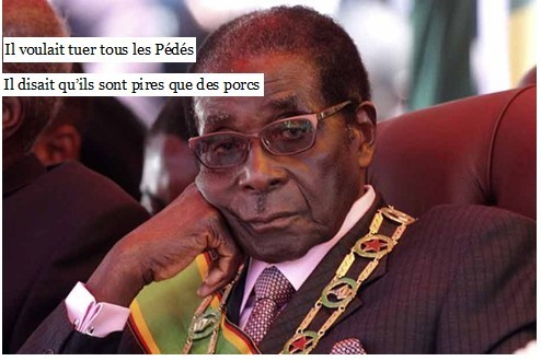 Alors que Mugabé traitait les homosexuels de chiens et porcs: Son fils révèle qu’il est gay! Alors que Mugabé traitait les homosexuels de chiens et porcs: Son fils révèle qu’il est gay!