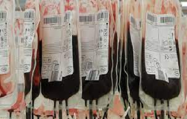 Santé-Pénurie de sang à l’hôpital Thiès : Une maladie chronique Santé-Pénurie de sang à l’hôpital Thiès : Une maladie chronique