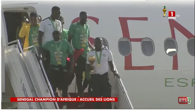 Direct Cameroun les lions dans l'avion pour amener la coupe d'Afrique aux Sénégalais