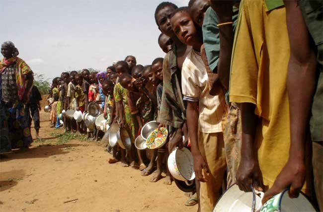 Investissement Eradication de la malnutrition : L’Ua décrète 2022, Année de la nutrition Investissement Eradication de la malnutrition : L’Ua décrète 2022, Année de la nutrition