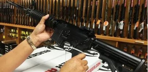 Etats-Unis : Un fusil semi-automatique destiné aux enfants fait polémique Etats-Unis : Un fusil semi-automatique destiné aux enfants fait polémique
