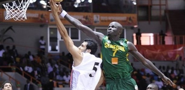 Basket-Eliminatoires Mondial-2023 : Les Lions face aux Pharaons à la fenêtre de Dakar, vendredi