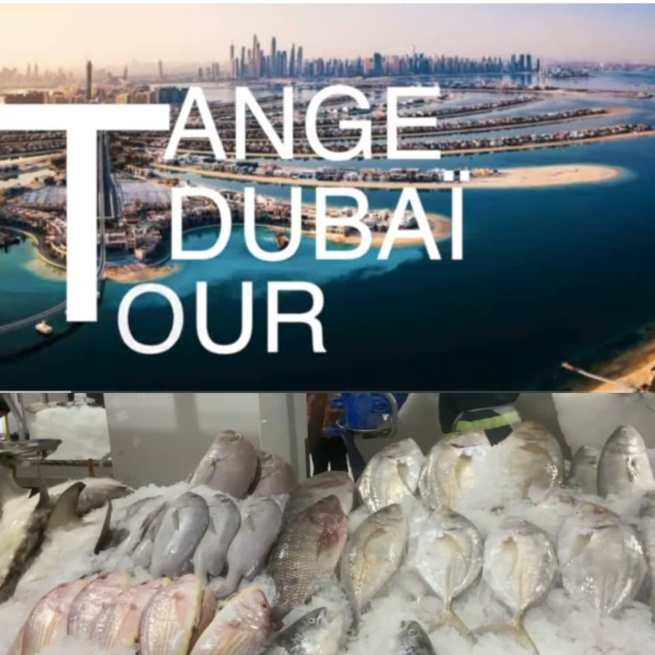 URGENT: Tange fait des révélations et démontre l'innovation du marché de poisson de Dubai. Regardez URGENT: Tange fait des révélations et démontre l'innovation du marché de poisson de Dubai. Regardez