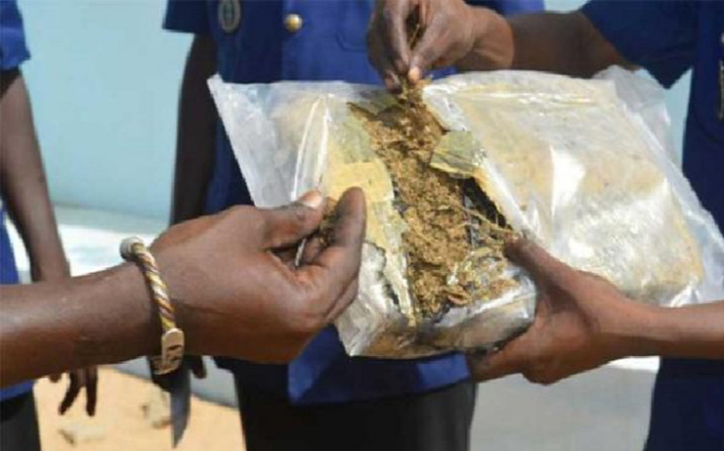 Traque aux trafiquants et usagers de drogue : La brigade des stupéfiants saisit 71 kg, 51 cornets et interpelle 4 personnes à Sédhiou