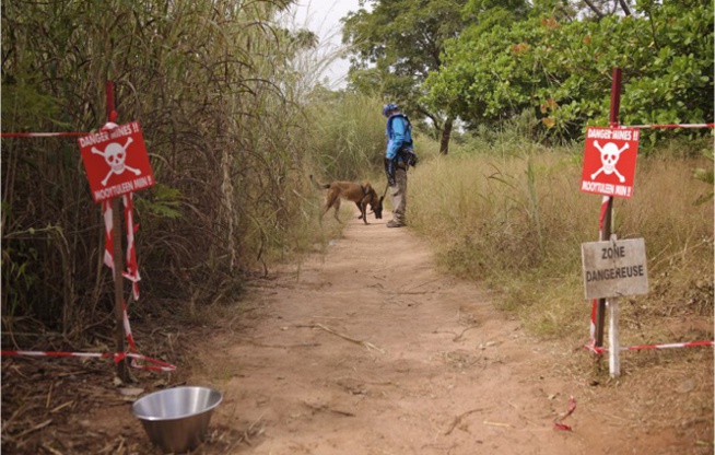 Casamance : «L’impossible» retour des populations déplacées des villages sécurisés par l’armée à Nyassia
