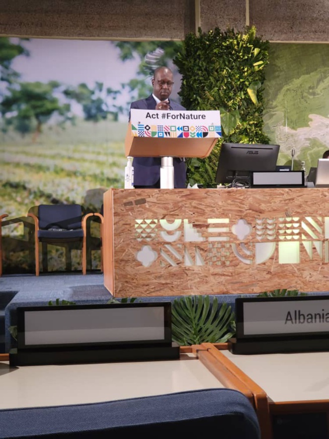 5e session de l'AG des Nations Unies sur l'Environnement: La déclaration d'Abdou Karim Sall du Groupe africain 5e session de l'AG des Nations Unies sur l'Environnement: La déclaration d'Abdou Karim Sall du Groupe africain