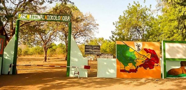L'adjoint au chef du Parc de Niokolo Koba sous mandat de dépôt