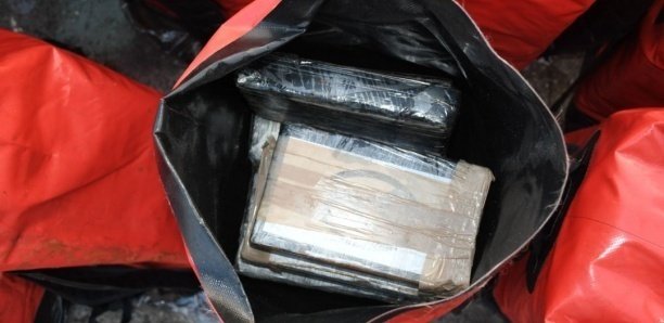 Affaire des 750 kg de cocaïne : Des libérations en cascade, le présumé cerveau toujours en cavale