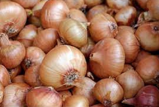 Département de Dagana : Une usine de 15 milliards FCfa bientôt installée dans le Walo Département de Dagana : Une usine de 15 milliards FCfa bientôt installée dans le Walo