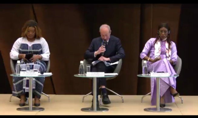 Conférence internationale de paris sur la reconnaissance internationale de l'économie sociale et solidaire : Zahra Iyane Thiam Diop vend le modèle sénégalais Conférence internationale de paris sur la reconnaissance internationale de l'économie sociale et solidaire : Zahra Iyane Thiam Diop vend le modèle sénégalais