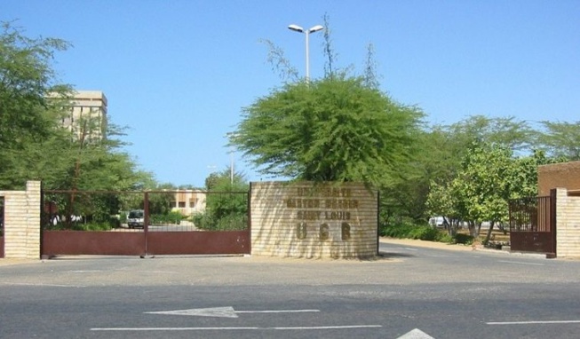 Saint-Louis : Un homosexuel lynché au campus de l’Ugb après avoir été piégé par un étudiant. Saint-Louis : Un homosexuel lynché au campus de l’Ugb après avoir été piégé par un étudiant.