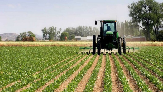 Campagne agricole 2022-2023 : Le budget validé s’élève à 70 milliards de FCFA Campagne agricole 2022-2023 : Le budget validé s’élève à 70 milliards de FCFA